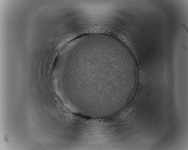 X0000099420673200805231629