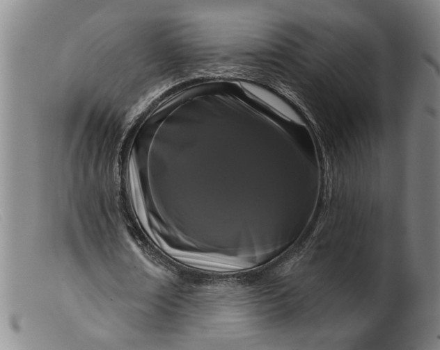 X0000099420674200805231629