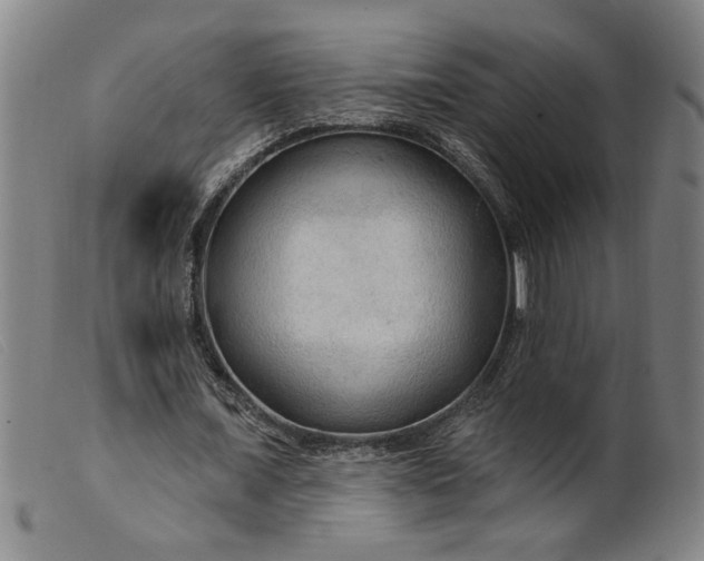 X0000099420675200805231629