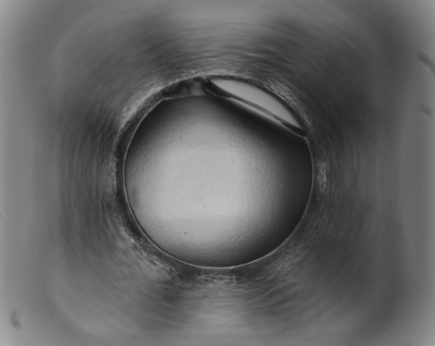 X0000099420676200805231629