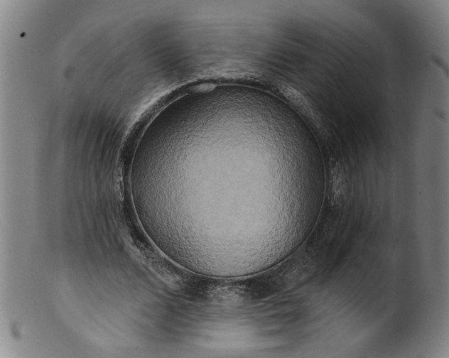 X0000099420680200805231629