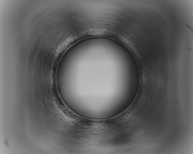X0000099420682200805231629