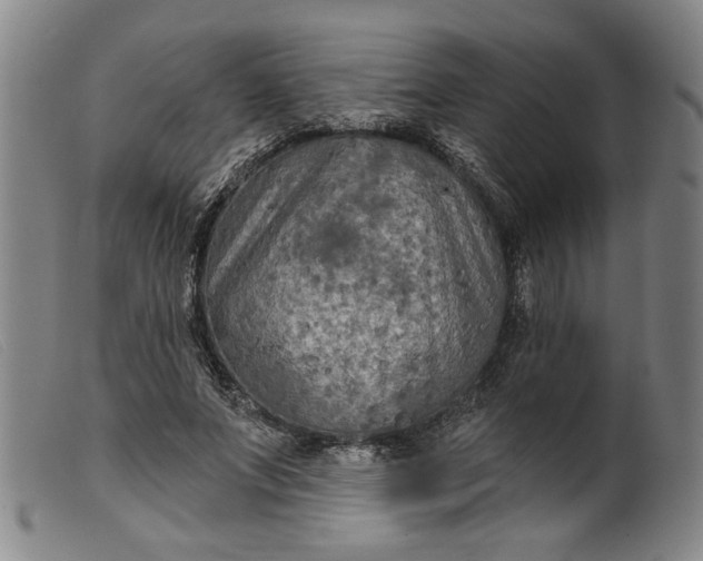 X0000099420687200805231629