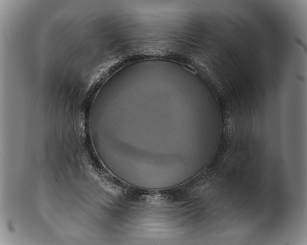 X0000099420688200805231629