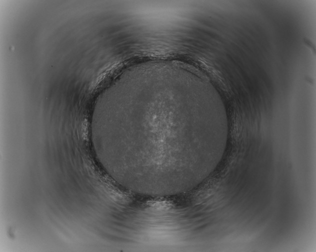 X0000099420689200805231629