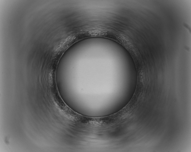 X0000099420690200805231629