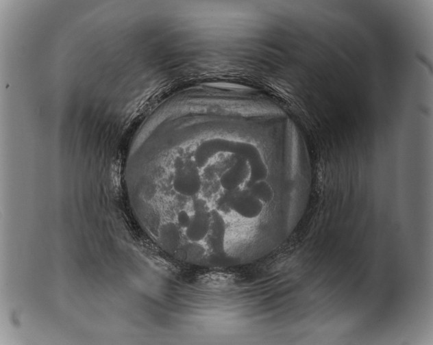 X0000099420691200805231629