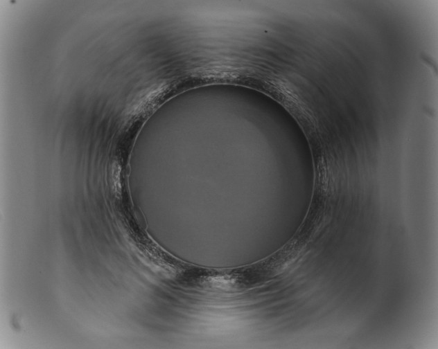 X0000099420692200805231629