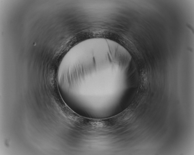 X0000099420698200805231629