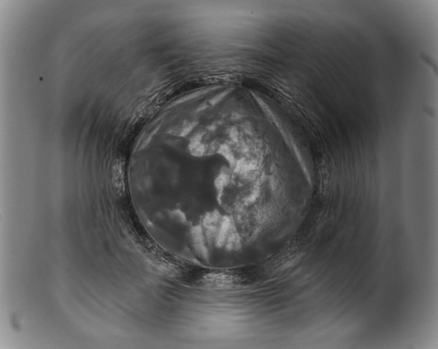 X0000099420699200805231629