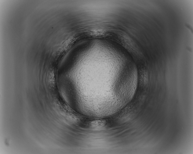 X0000099420700200805231629