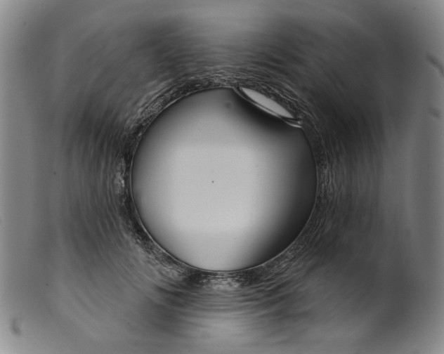 X0000099420702200805231629