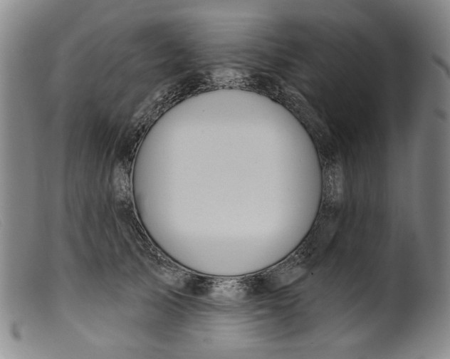 X0000099420705200805231629