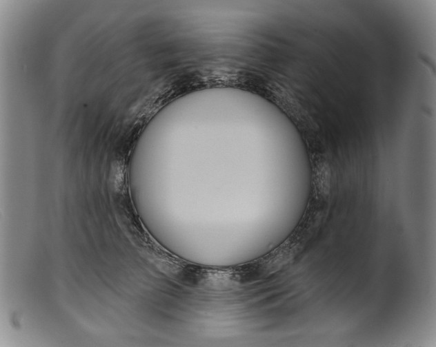 X0000099420709200805231629