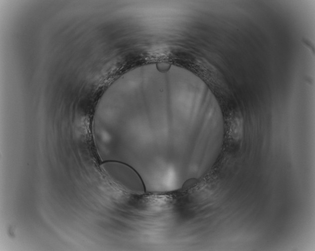 X0000099420711200805231629
