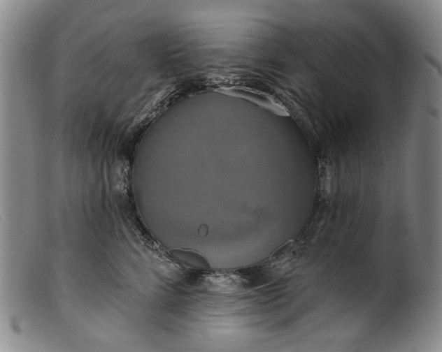 X0000099420712200805231629