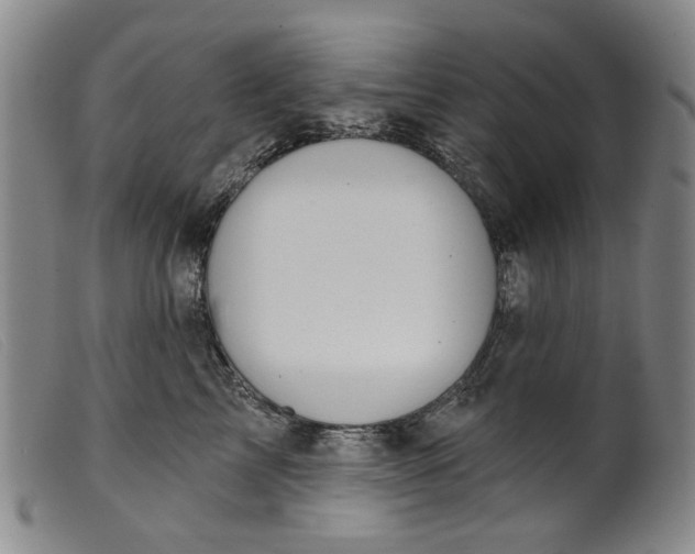 X0000099420713200805231629