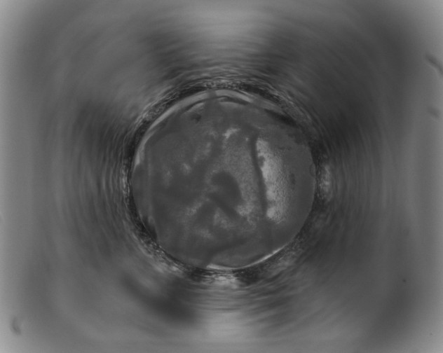 X0000099420715200805231629