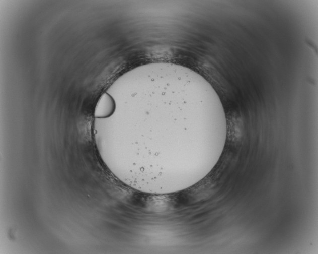 X0000099420717200805231629