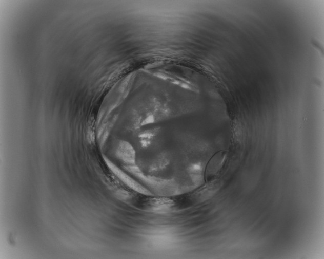 X0000099420719200805231629