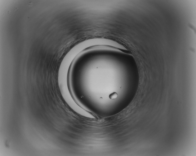X0000099420720200805231629