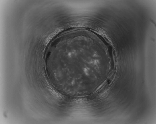 X0000099420721200805231628