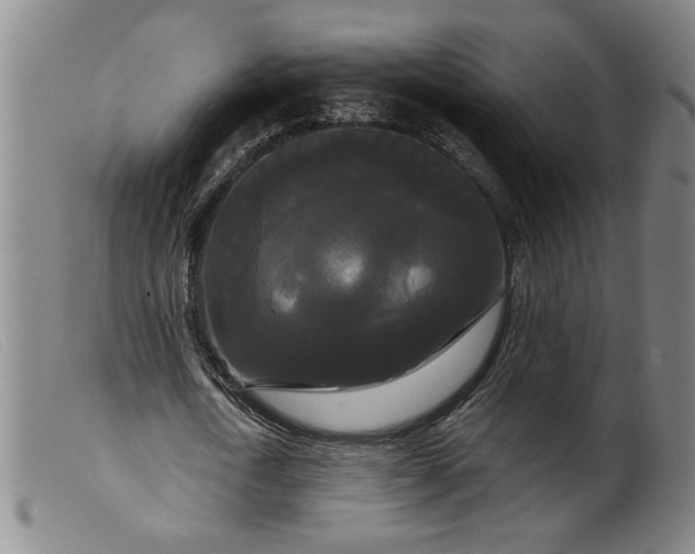 X0000099420722200805231628