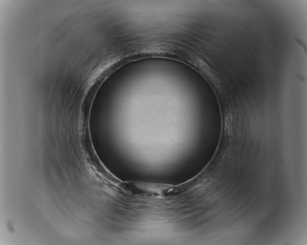 X0000099420724200805231628