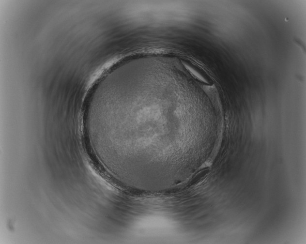 X0000099420726200805231628