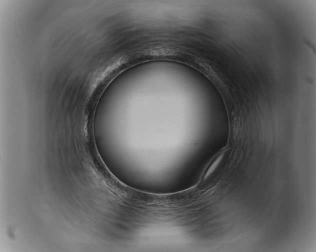 X0000099420727200805231628