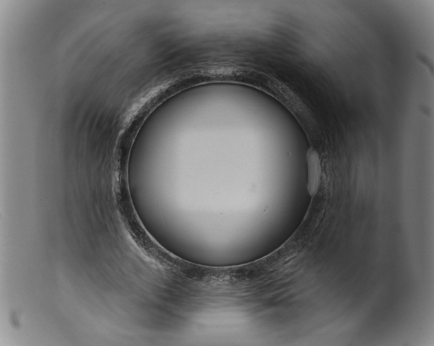 X0000099420728200805231628