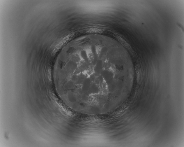 X0000099420729200805231628
