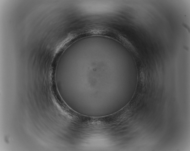 X0000099420730200805231628