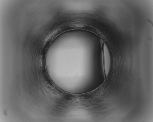 X0000099420731200805231628