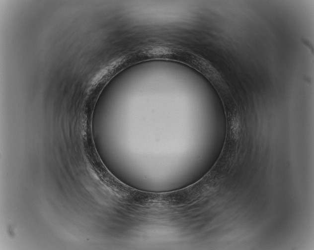 X0000099420732200805231628