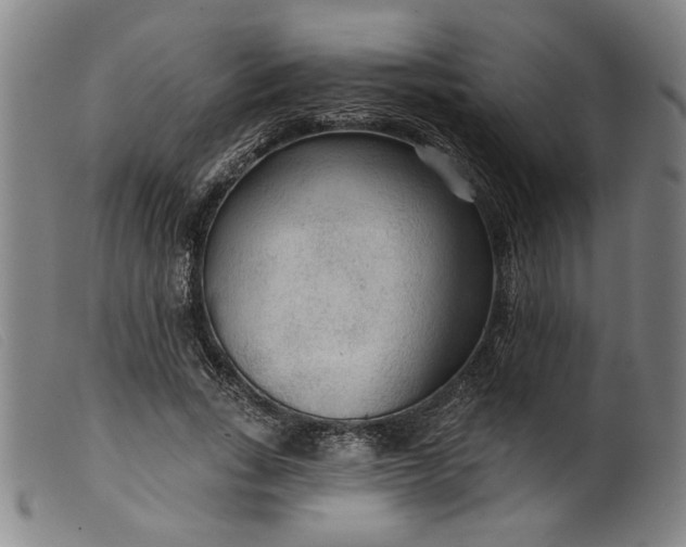 X0000099420735200805231628