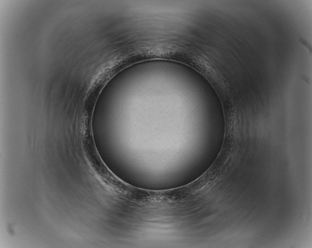 X0000099420736200805231628