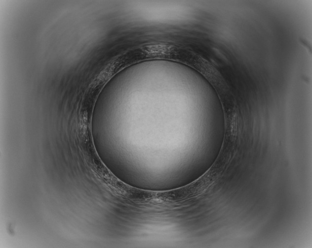 X0000099420737200805231628