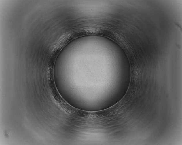 X0000099420738200805231628