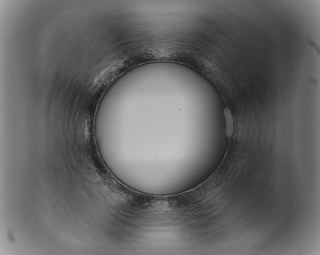 X0000099420740200805231628