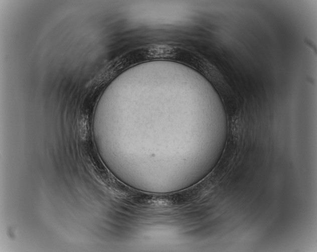 X0000099420741200805231628