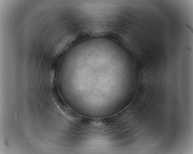 X0000099420742200805231628