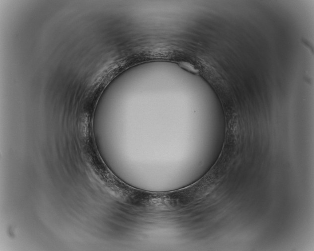 X0000099420744200805231628