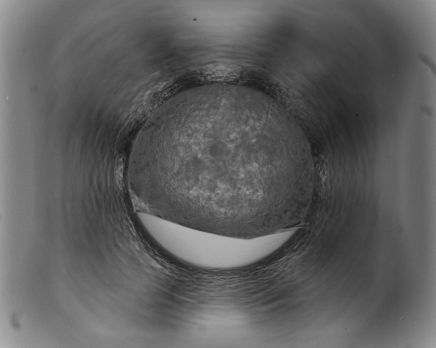 X0000099420745200805231628