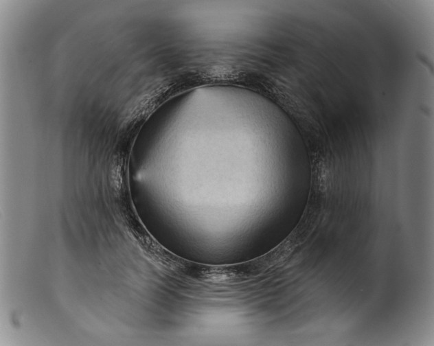 X0000099420746200805231628