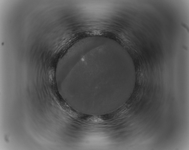 X0000099420747200805231628