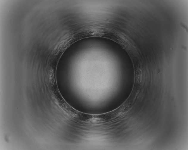 X0000099420748200805231628