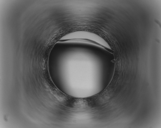 X0000099420750200805231628