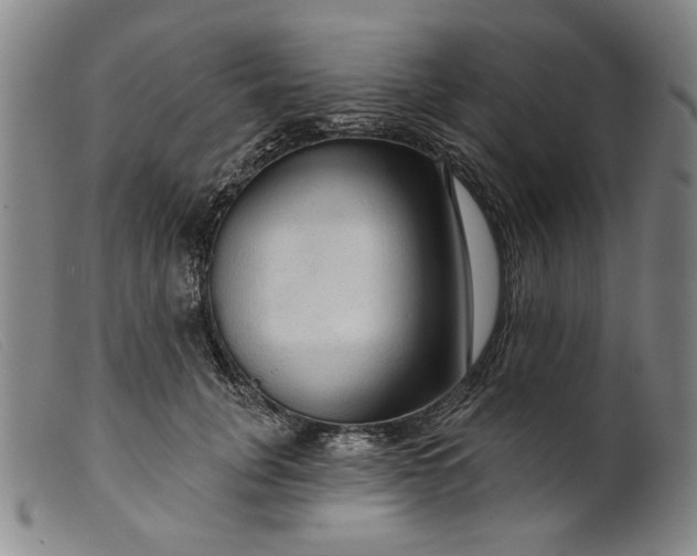 X0000099420751200805231628