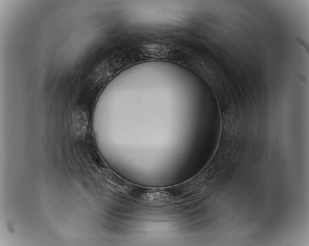 X0000099420752200805231628